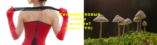 крисы Вязники