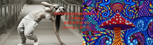а пвп мука Вяземский