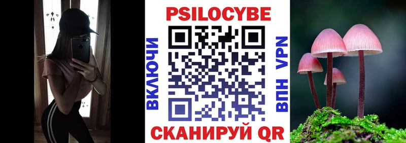Галлюциногенные грибы Magic Shrooms  Купить  Сокол 